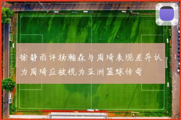 徐静雨评杨瀚森与周琦表现差异认为周琦应被视为亚洲篮球传奇